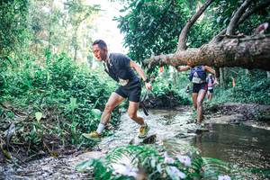 BIB: 
                            <button type="button" onclick="openModal(25434655)" class="btn btn-primary btn-sm float-right btn-popup" data-toggle="modal" data-target=".modal-high-quality">
                        <i class="fas fa-shopping-cart"></i> Add to Cart
                    </button>
                                            <button type="button" onclick="isThisMe(25434655, true)" class="btn btn-success btn-sm float-right btn-popup btn-isme hidden" data-toggle="tooltip" data-placement="bottom" title="นี่คือรูปของคุณใช่ไหม คลิกที่นี่เพื่อเอาเข้าอัลบั้ม">
                        <i class="fas fa-plus"></i> Add to album
                    </button>
                    <button type="button" onclick="isThisMe(25434655, false)" class="btn btn-warning btn-sm float-right btn-popup btn-isnotme hidden">
                        <i class="fas fa-ban"></i> Remove from album
                    </button>